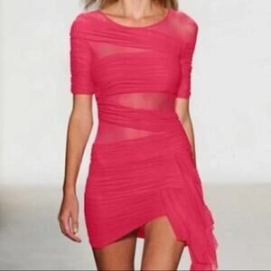 Sheer Panel Ruched Mini Dress in Hot Pink